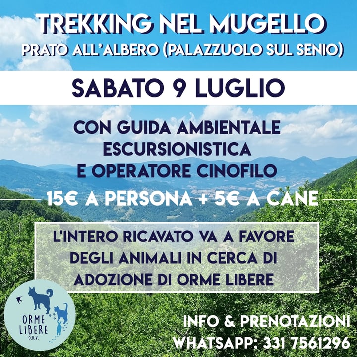 review photo shared by @mariascacchetti on 28 Jun 2022 - post