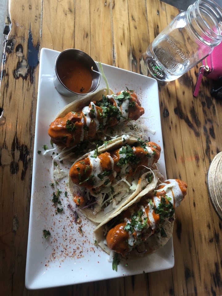 photo of Tucos Taco Lounge Buffalo Tempeh Tacos shared by @fruitbowlhalffull on  09 Apr 2019 - review