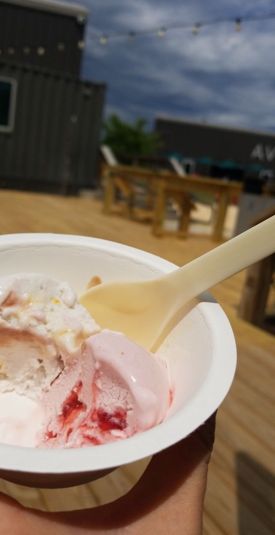 review photo of KOKOS Ice Cream 100% Plant Based "To Go" Shop Plant based ice cream shared by @theviolentvegan on 02 Apr 2020 - review