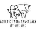 ashersfarmsanctuary @ashersfarmsanctuary profile image