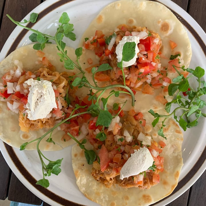 photo of Enso Cafe Pulled jackfruit tacos with cashew cheese shared by @tiascaz on  08 Jun 2022 - review
