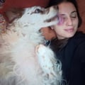 bibidibobidibb @bibidibobidibb profile image