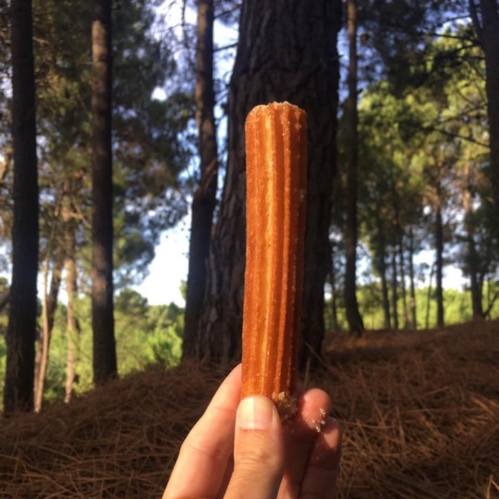 photo of Churros El Topo Churros shared by @meteoraba on  26 Jan 2021 - review