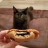 Maya's Cookies