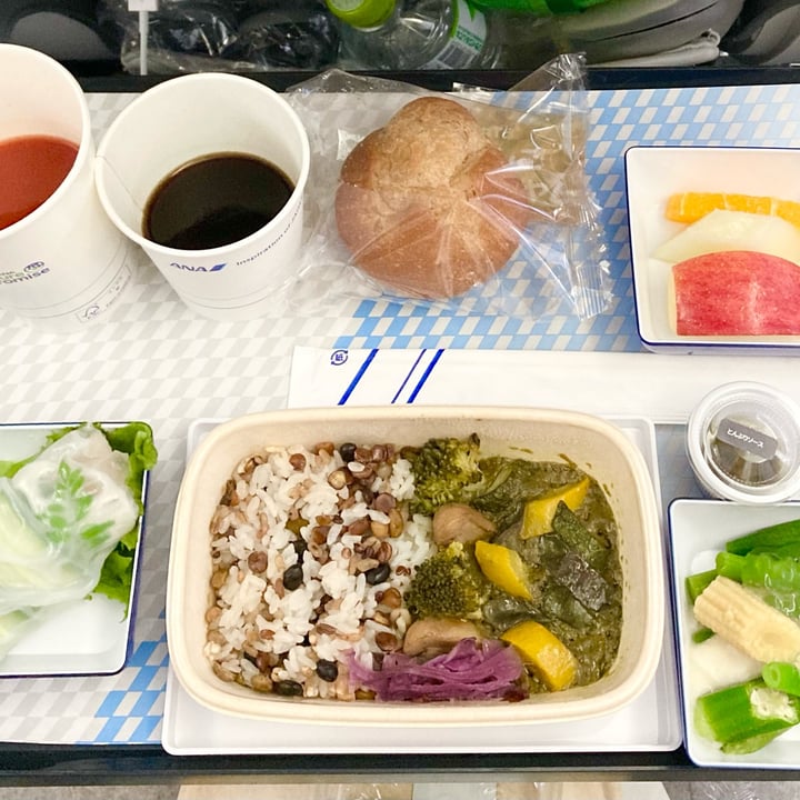 photo of All Nippon Airways (ANA) Inflight vegan meal shared by @m13 on  08 Jan 2023 - review