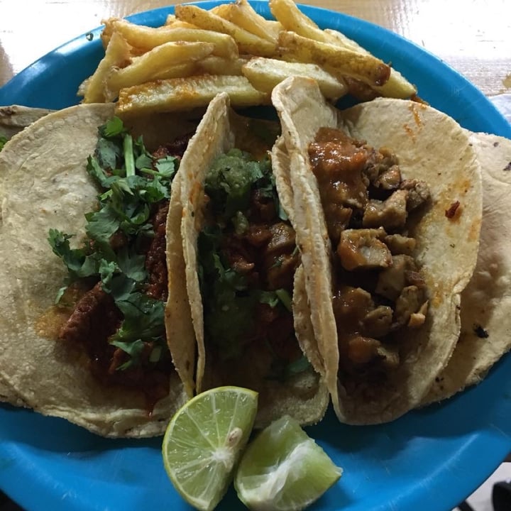 photo of A darle, que es taco vegano Tacos shared by @alevegana on  20 Jan 2020 - review