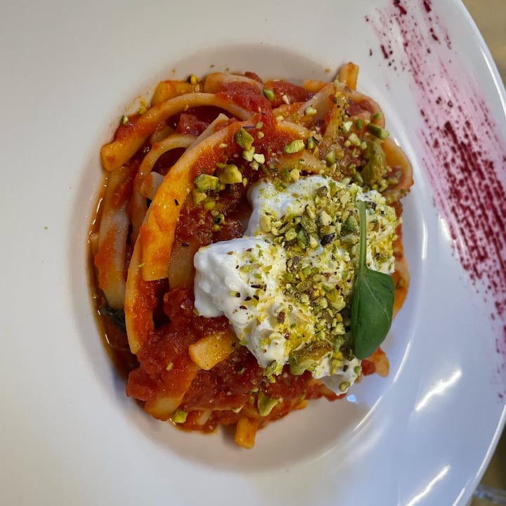 photo of Selezione Naturale Scialatielli Con Pomodoro E Stracchino Veg shared by @sereb on  05 Nov 2022 - review