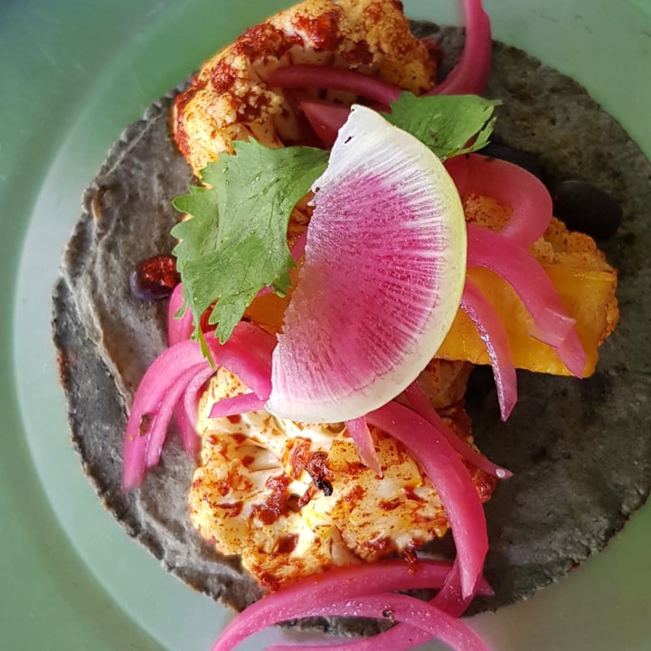 review photo of El Habanero Negro Tacl de cochiflor shared by @abrilnoesunmes on 23 Jul 2022 - review
