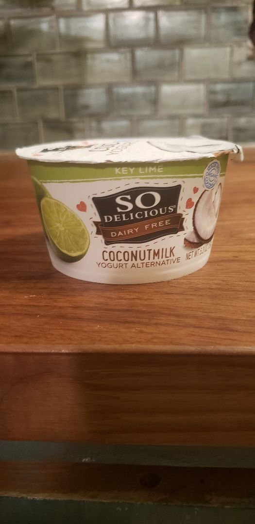 review photo of So Delicious Dairy Free Key Lime Coconutmilk Yogurt Alternative shared by @ellainchanted on 06 Jun 2019 - review