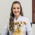 vetbrunarossato @vetbrunarossato profile image