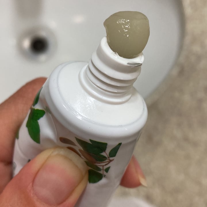photo of Phitoterápica Creme Dental Herbal shared by @rebecamagro on  31 Jan 2022 - review
