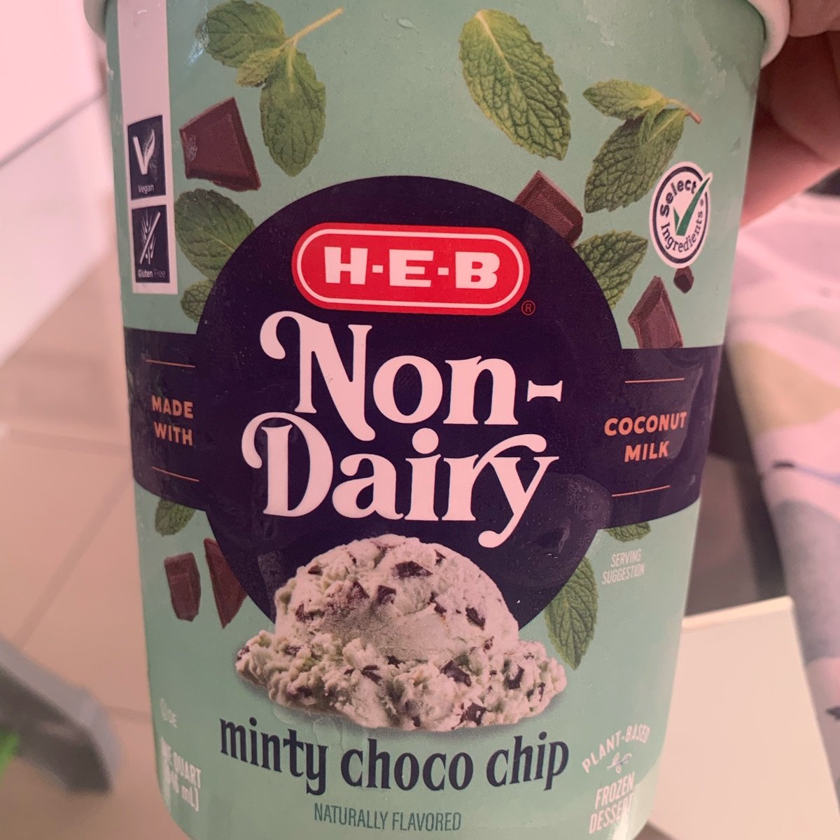 Non-Dairy Minty Choco Chip from H-E-B - Vegan Product Reviews & Ratings ...