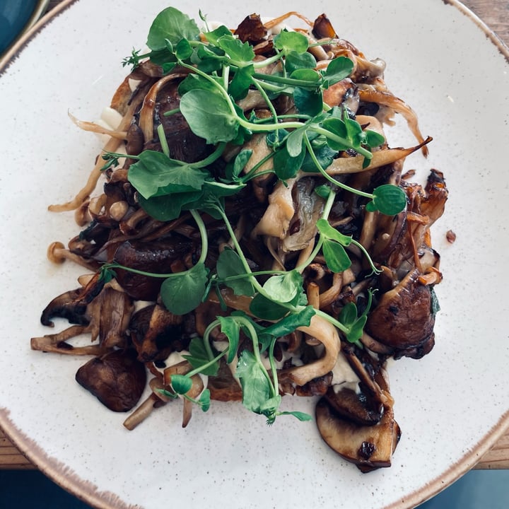 review photo of Dignita Westerpark Vegan Breakfast shared by @chironix on 06 Apr 2022 - review
