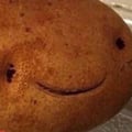 thediabeticvegan @thediabeticvegan profile image