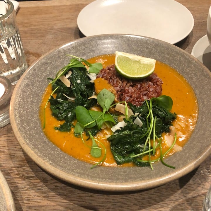 photo of Farmacy creamy coconut curry shared by @lupo on  01 Nov 2022 - review