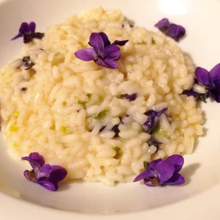 review photo of Brugnola1932 Vegan Country House Risotto Alle viole shared by @cristina81 on 11 Apr 2021 - review