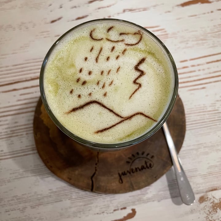 photo of Juvenate Matcha & Mint Latte shared by @thehumblechickpea on  09 Jun 2021 - review