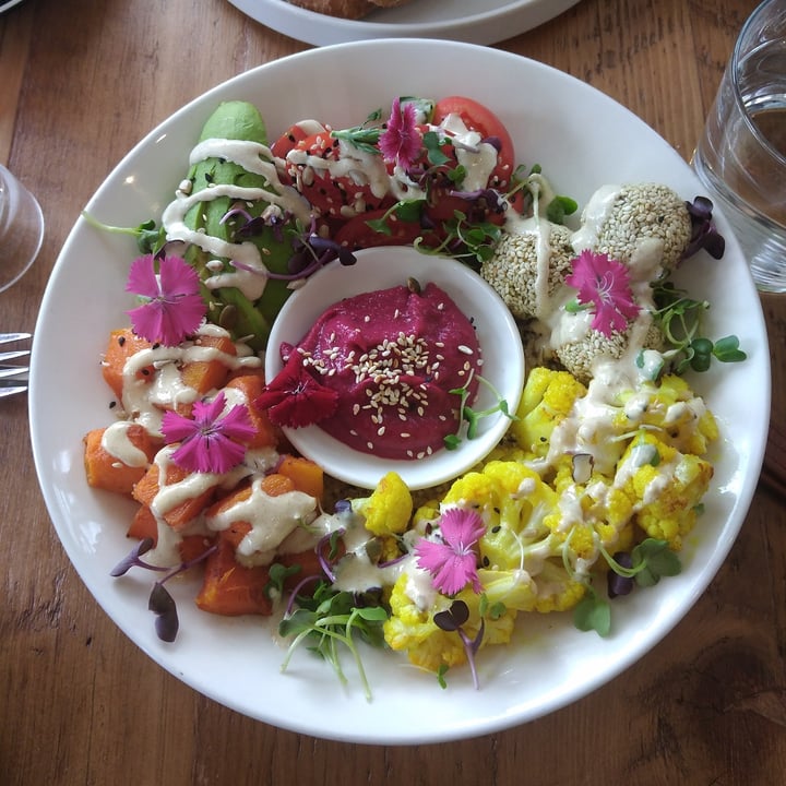 photo of Wildsprout Buddha falafel bowl shared by @laurenbettyd on  21 May 2022 - review