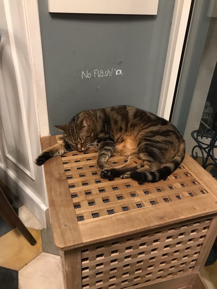 photo of Romeow Cat Bistrot White Cake shared by @jayrenee on  12 Sep 2019 - review