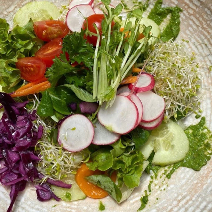 review photo of L'Orto già Salsamentario - Vegan & raw food Tris Di Antipasti shared by @teslainahappyplace01 on 13 Mar 2022 - review