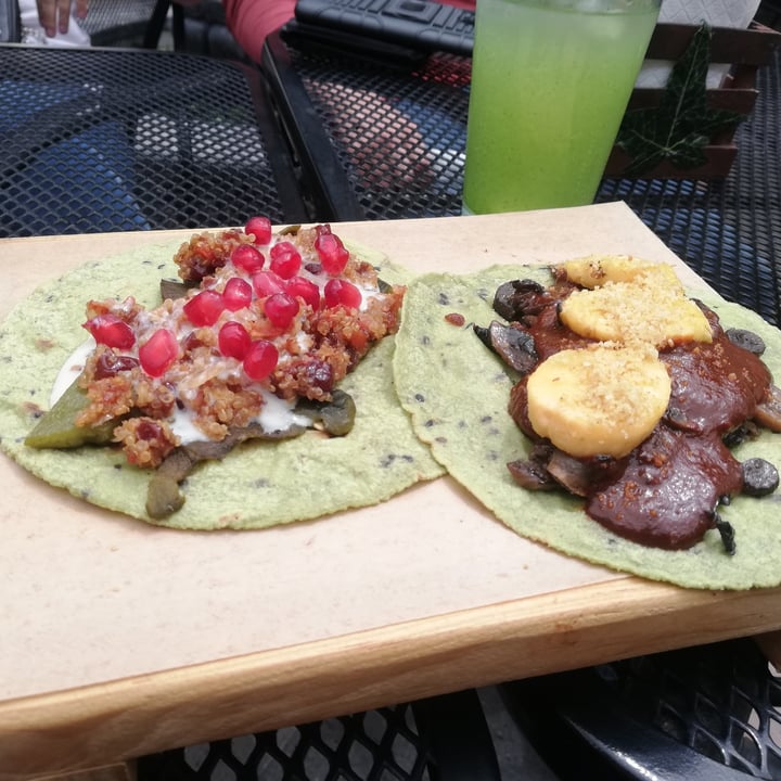 photo of Taco Green Taco de Chile en Nogada shared by @rams02 on  30 Sep 2020 - review