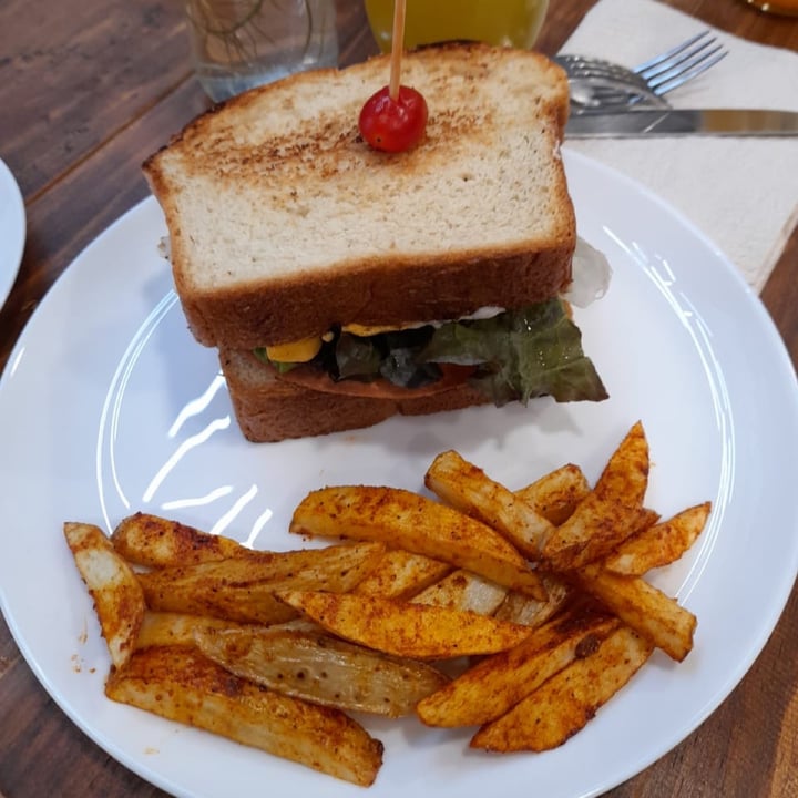photo of Siempre viva Club sándwich shared by @nancy on  31 Jul 2021 - review