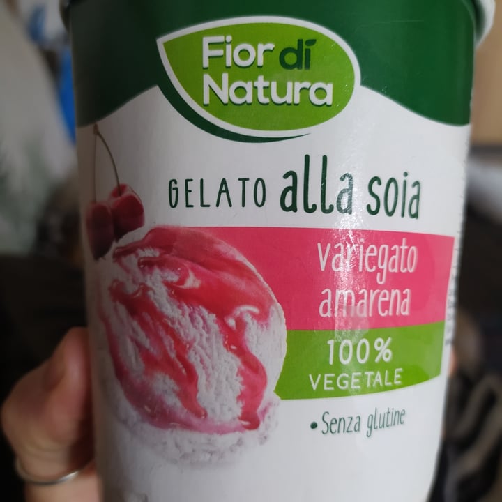 photo of Fior di Natura Gelato Alla Soia Variegato Amarena shared by @giumrg on  24 Apr 2022 - review