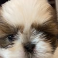 reginaporto @reginaporto profile image