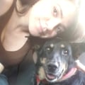 dianasap @dianasap profile image