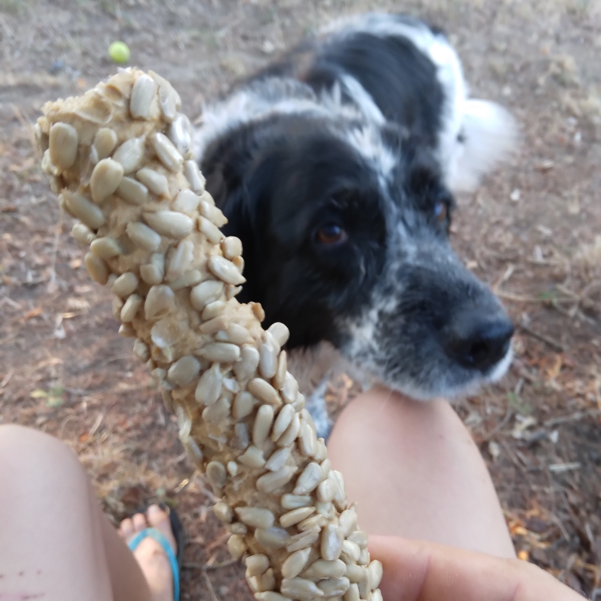 Eridanous Breadsticks Reviews abillion