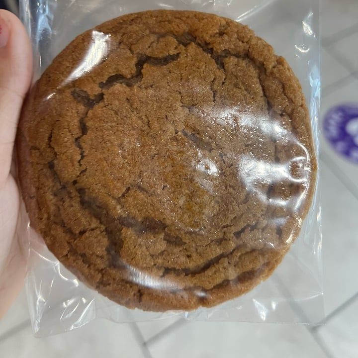 photo of Cinnaholic (Permanently Closed) Cinnadoodle Cookie shared by @veganfta on  16 Jul 2022 - review