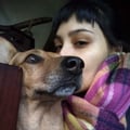 laravillegas @laravillegas profile image