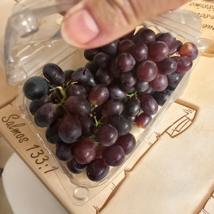 review photo of Vero Frutto Uva Preta Sem Semente shared by @ritadecassia on 19 Jun 2022 - review