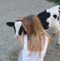 alexandrastefan @alexandrastefan profile image