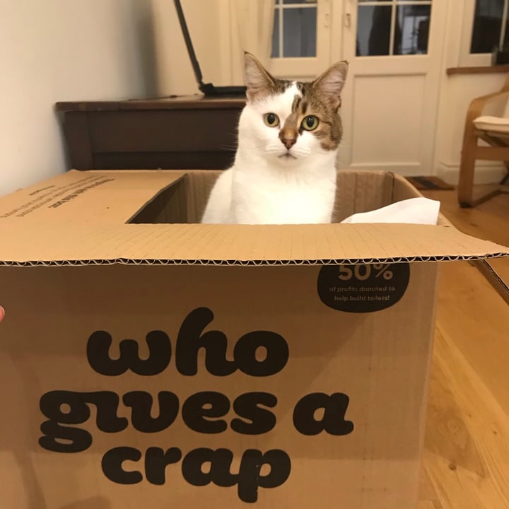 review photo of Who Gives a crap Toilet paper shared by @theamicablevegan on 31 May 2020 - review