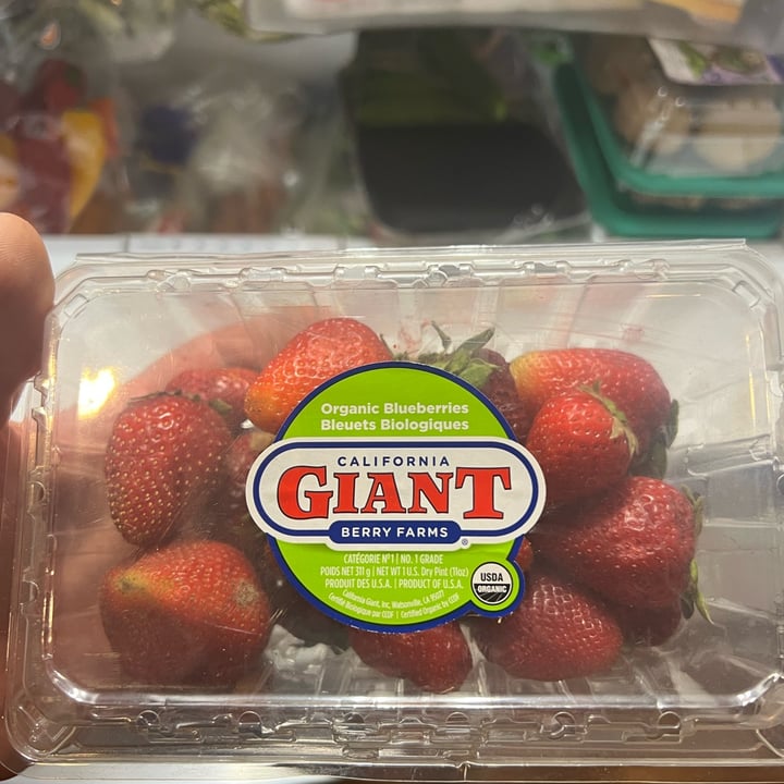 review photo of California Giant Berry Farms strawberries shared by @kevingonzales on 01 Jun 2022 - review