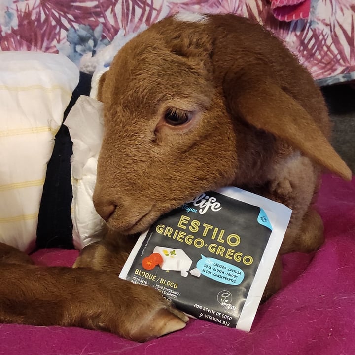 review photo of Violife Queso bloque estilo griego shared by @elur on 25 Dec 2021 - review