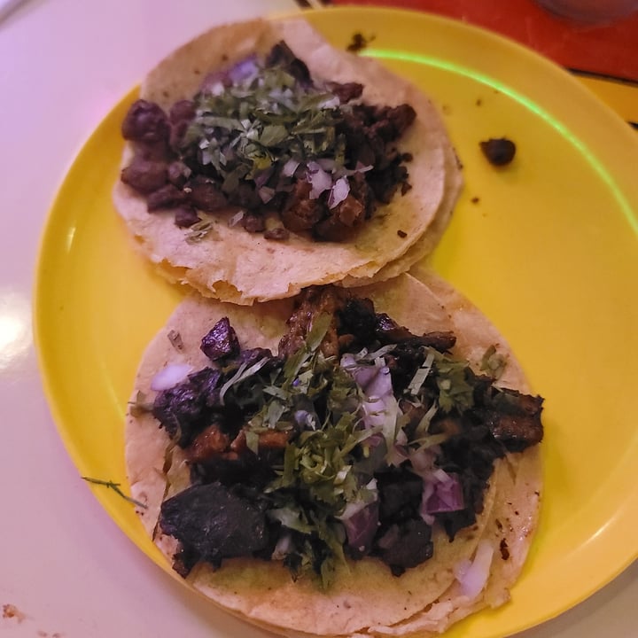 photo of Gracias Madre Taquería Vegana Tacos de arrachera de seitán shared by @sofiaolea on  05 Sep 2022 - review