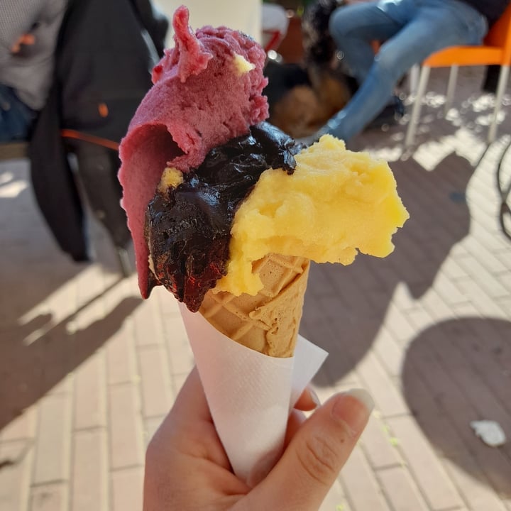 photo of Gelateria Pagni Gelato frutta e fondente con cono vegano shared by @annaveglover on  17 Apr 2022 - review