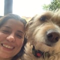 carlis8a @carlis8a profile image