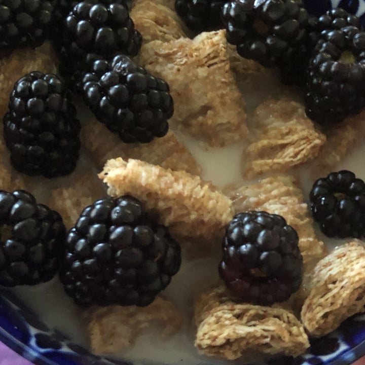 photo of Driscoll’s Blackberries shared by @lovespigs on  02 Jul 2022 - review