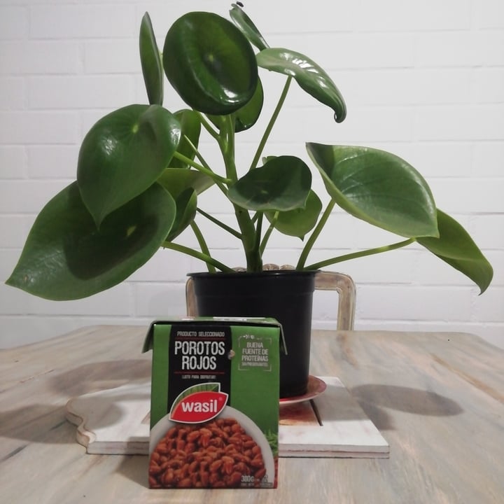 review photo of Wasil Porotos Rojos shared by @valentinapia on 23 Feb 2022 - review