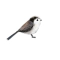 ceskin @ceskin profile image