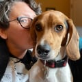 tinkledink @tinkledink profile image