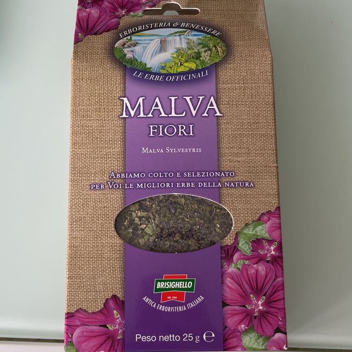 photo of Brisighello Malva fiori shared by @virgiveg on  14 Mar 2022 - review