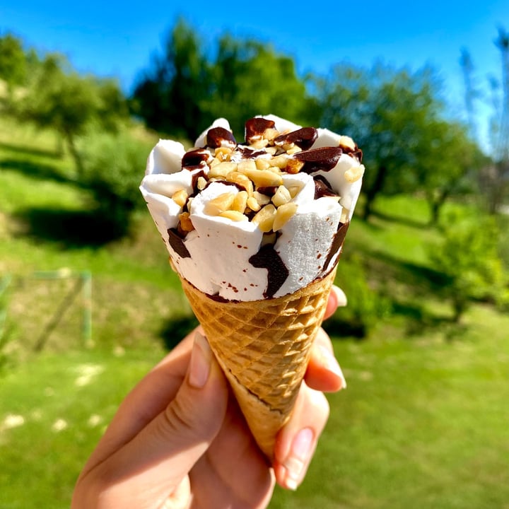 photo of Vemondo Vegan Ice Cream Vanilla Flavour shared by @itsanavi on  15 Sep 2021 - review