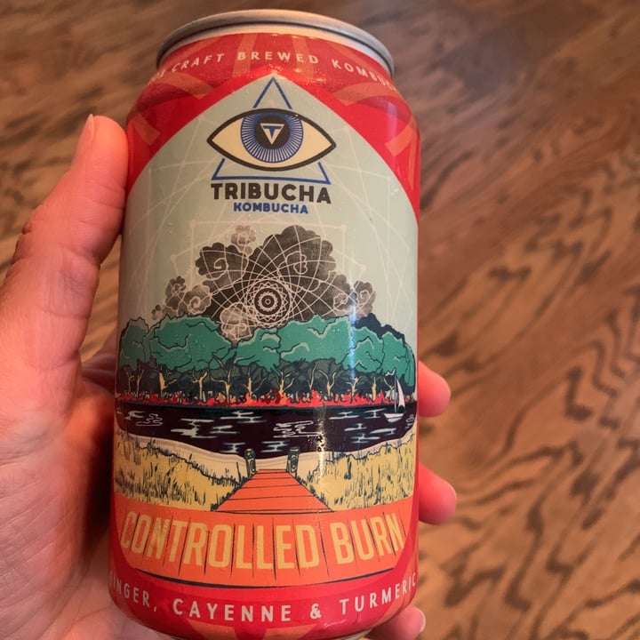 photo of TriBucha Controlled Burn Kombucha shared by @azmaj on  29 Apr 2020 - review