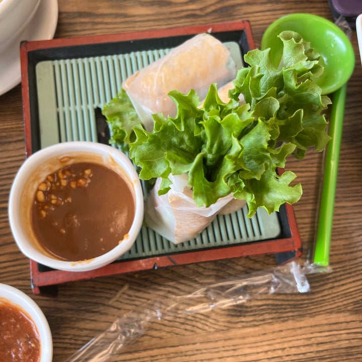 review photo of Green Lotus Restaurant Spring rolls shared by @emilylovesmangos on 01 May 2022 - review