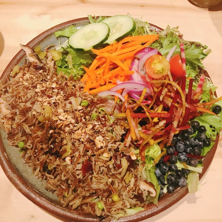 photo of Angry Trout Cafe Wild Rice with Salad shared by @kaylabear on  11 Aug 2018 - review