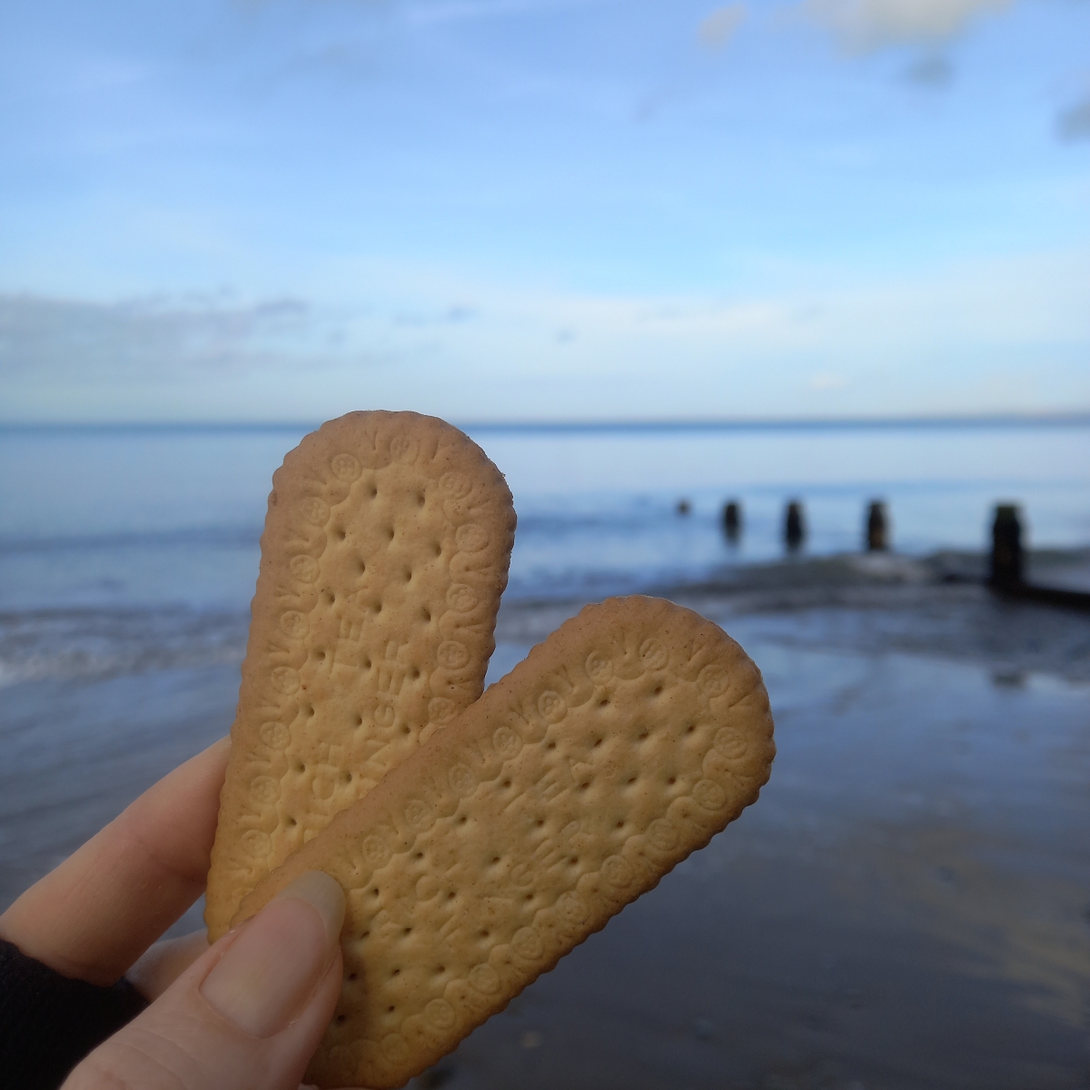 Tesco Rich Tea Fingers Reviews | abillion